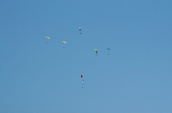 Lot Paramoteur