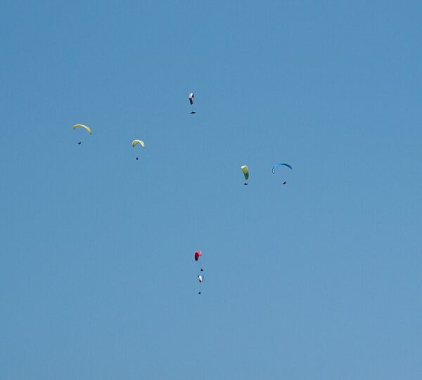Lot Paramoteur