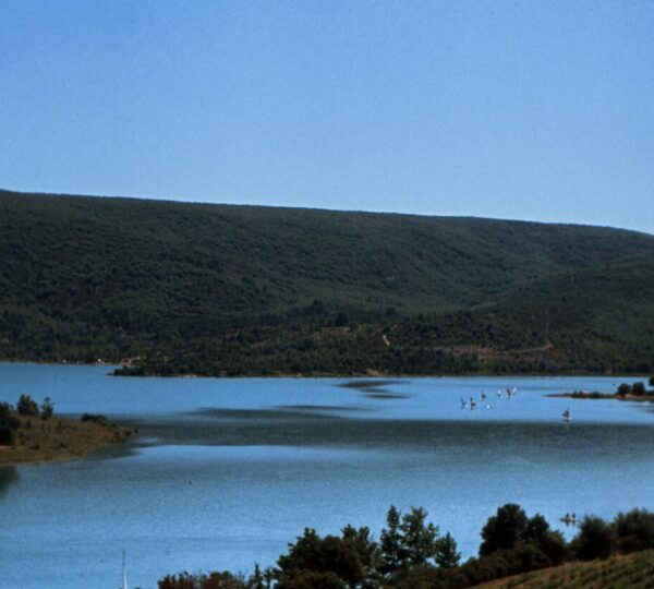 VERDON PASSION