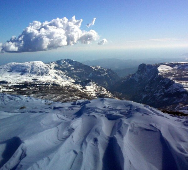 Ailéments – Nice Parapente