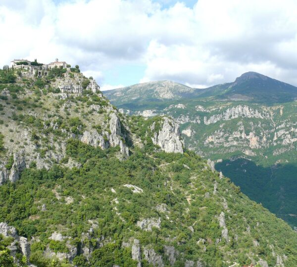 Ailéments – Nice Parapente