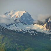 Is the parapente landing at the mountaintop les Grandes Aiguilles 2905, before the Mont Blanc massif - panoramio – Bourg-Saint-Maurice