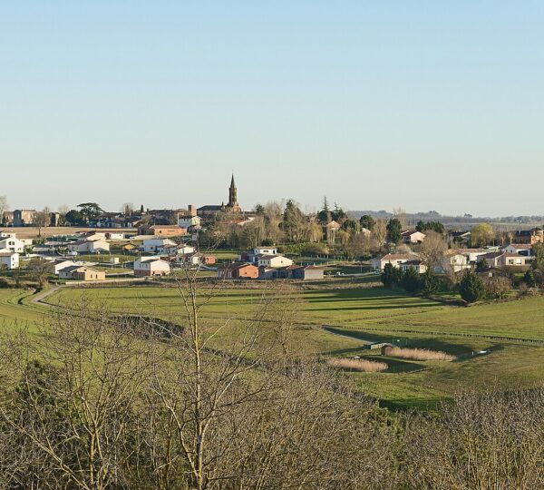 Toulouse Paramoteur