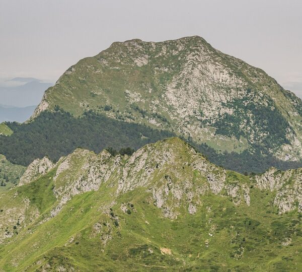 GYPAETE