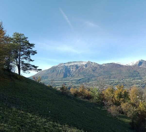 RESSOURCES PARAPENTE