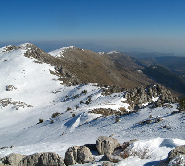 Ailéments – Nice Parapente