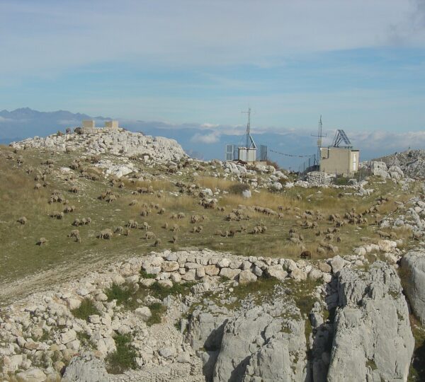 Ailéments – Nice Parapente