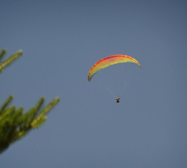 Fly Mont Blanc