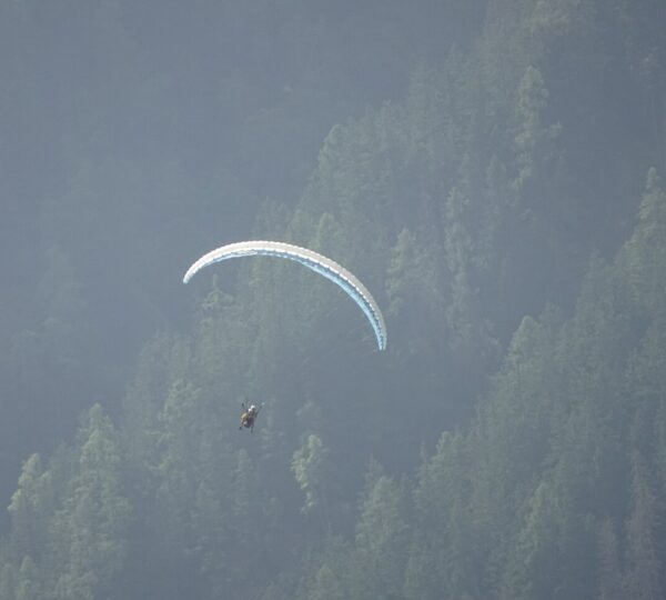 Haut Vol