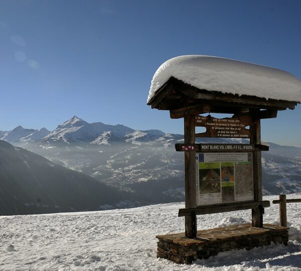 Fly Chamonix
