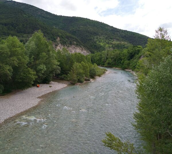 Jeux d'Ailes