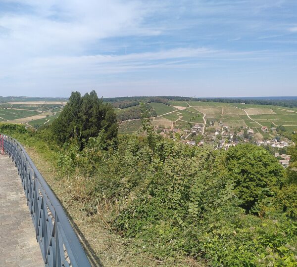 REV' D'AILES