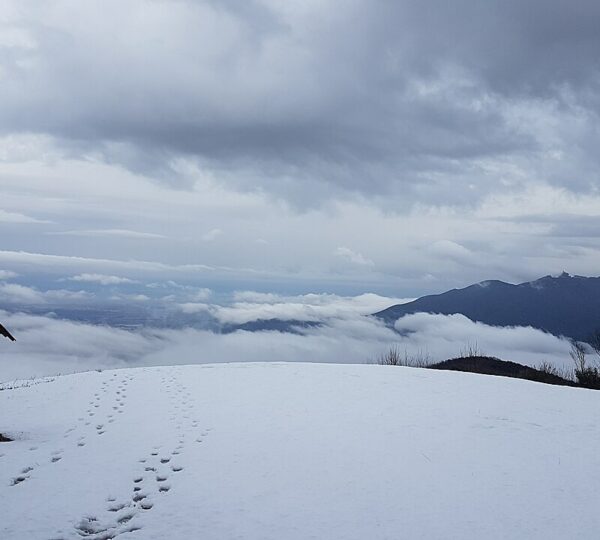 Les Ailes du Vallespir