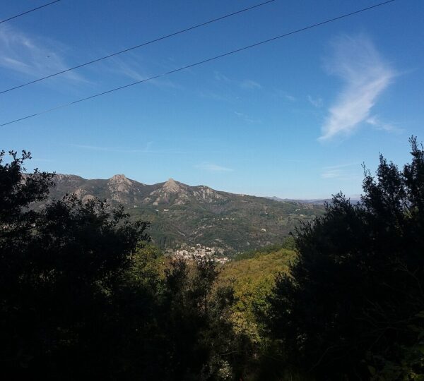 TARANIS PARAPENTE
