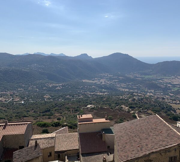 Ailéments – Nice Parapente